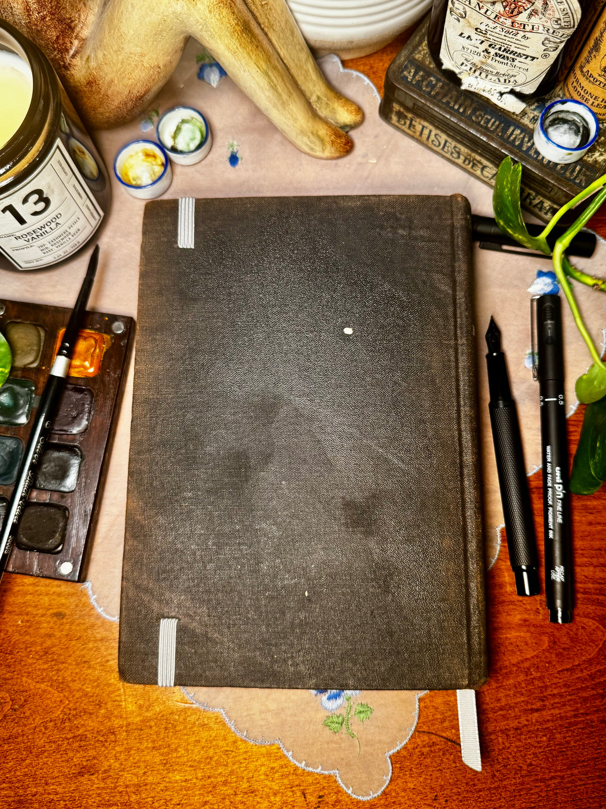 'The Life of the White Ant' Watercolor Journal