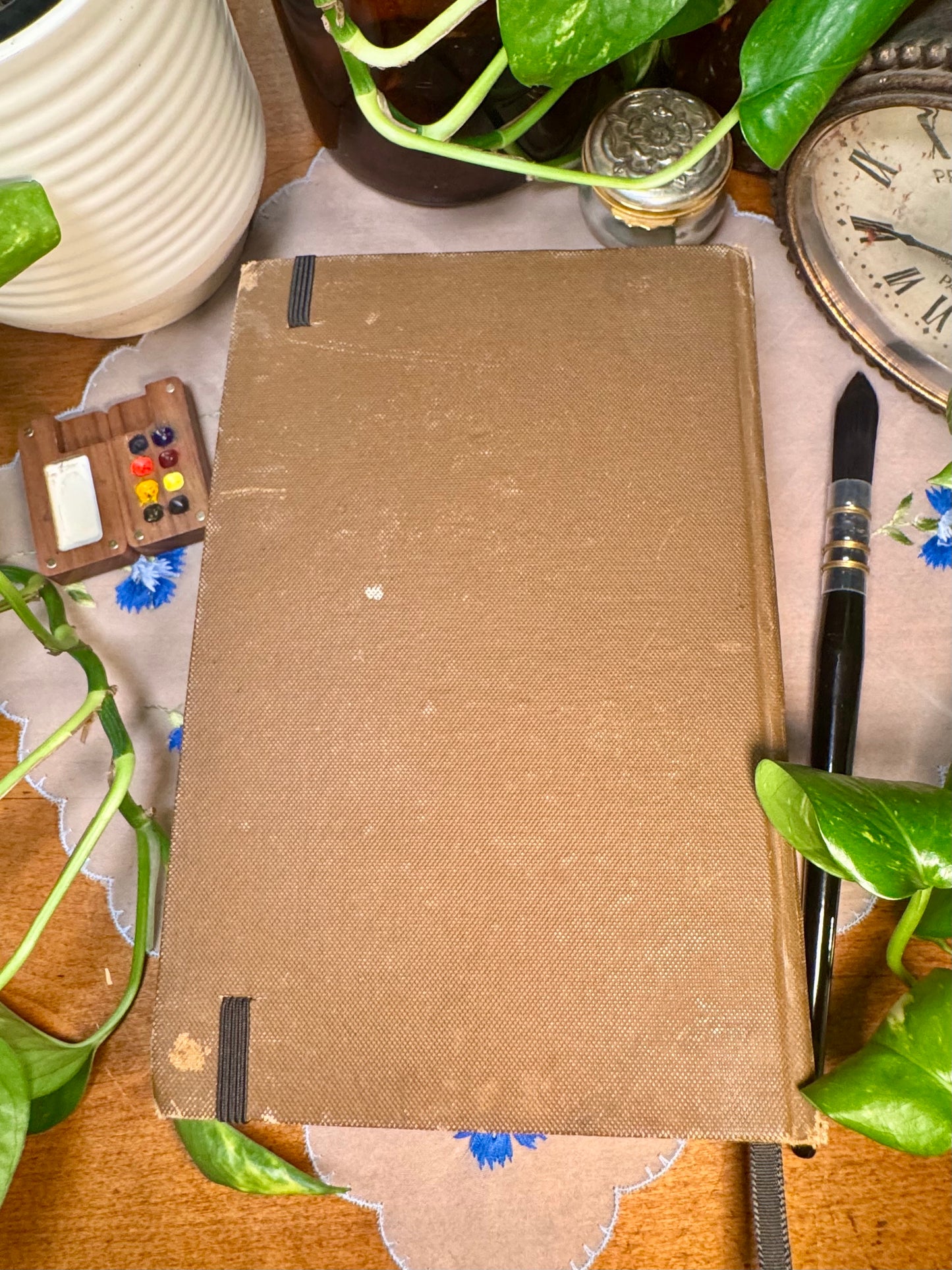 ‘The Physiology and Hygiene of the House in Which We Live’ Watercolor Journal