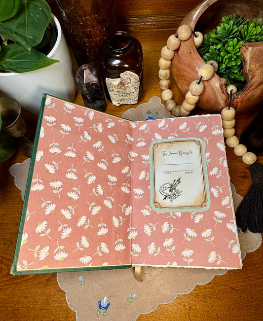 'Rebecca of Sunnybrook Farm' Watercolor Journal