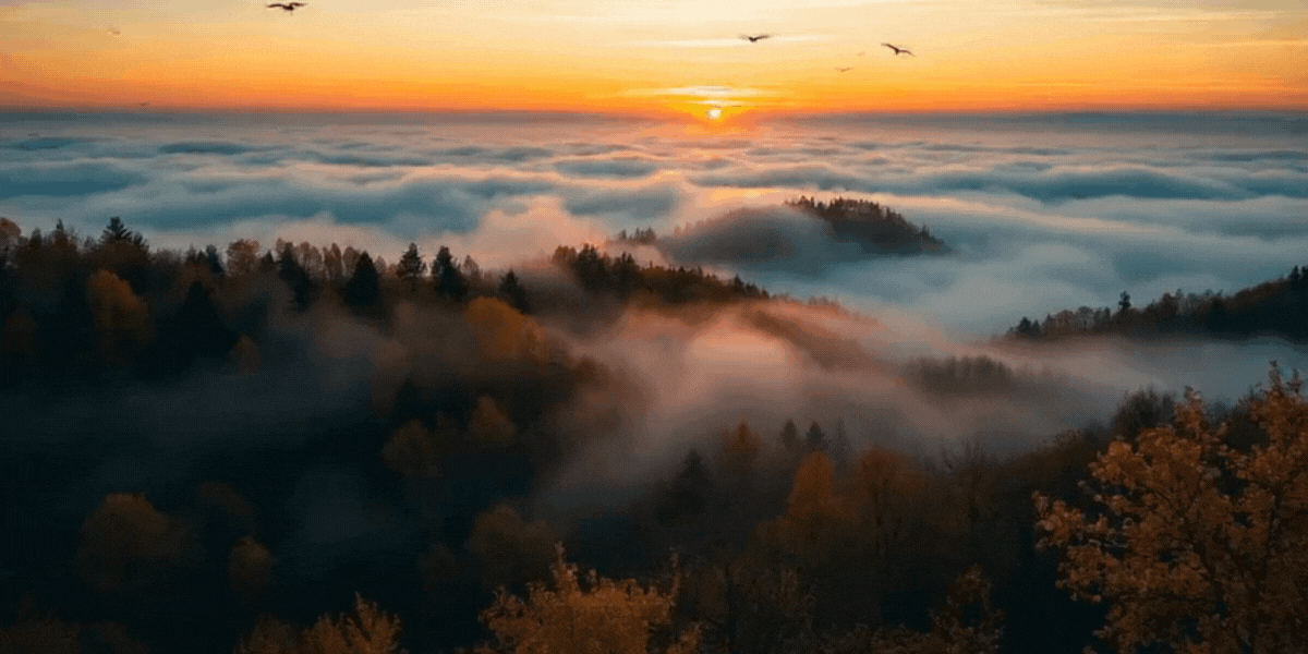 Chasing Horizons