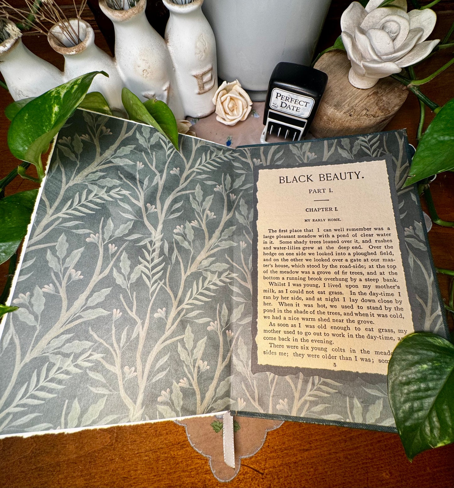 ‘Black Beauty’ Watercolor Journal