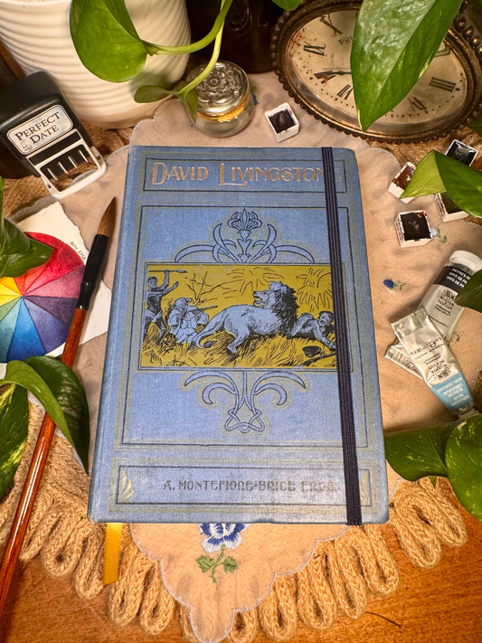 ‘David Livingstone: His Labors and His Legacy’ Watercolor Journal