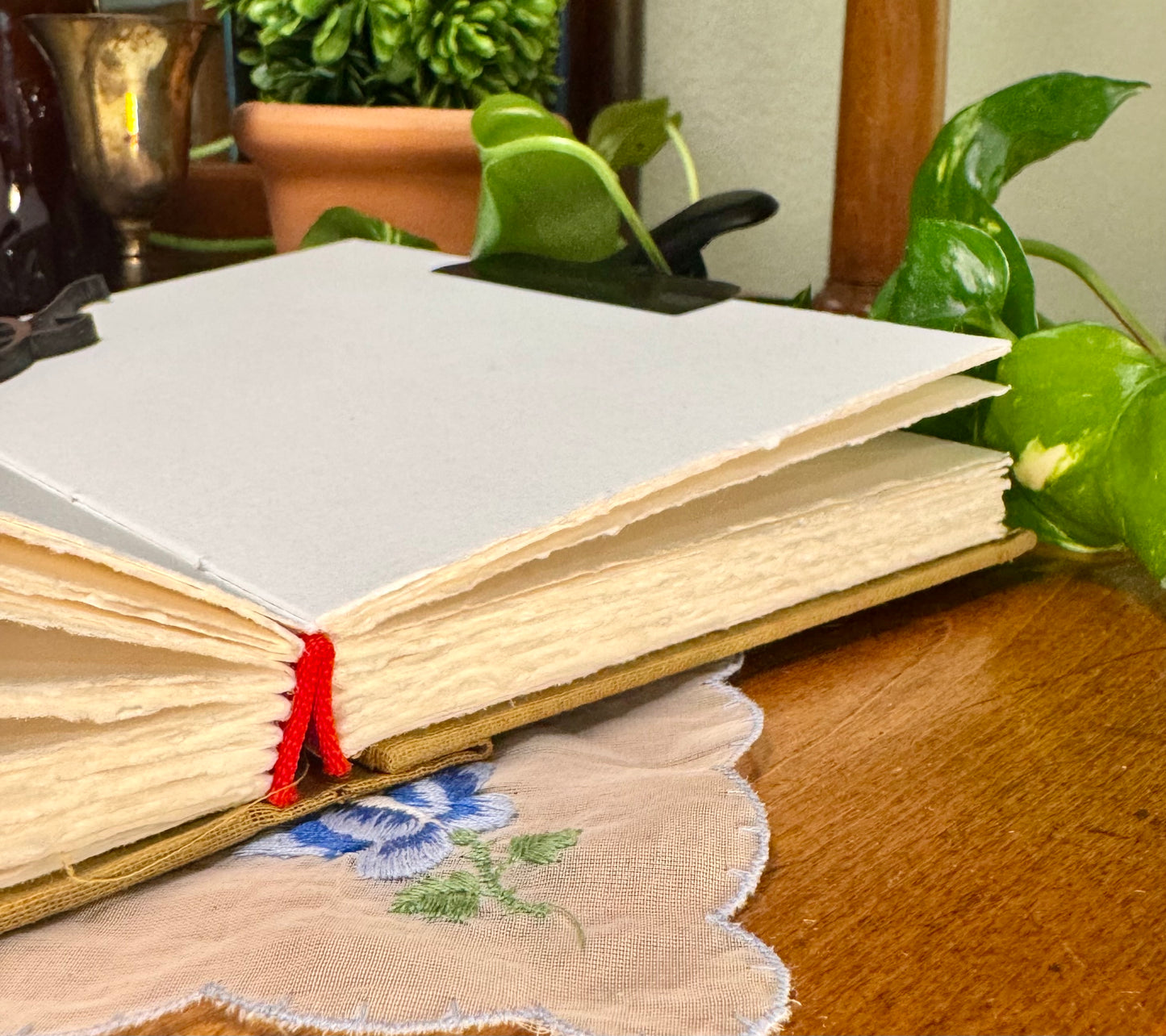 ‘Julius’ Watercolor Journal