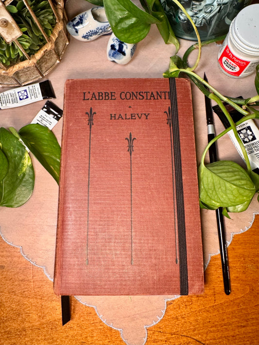 ‘L’abbé Constantin’ Mini Watercolor Journal