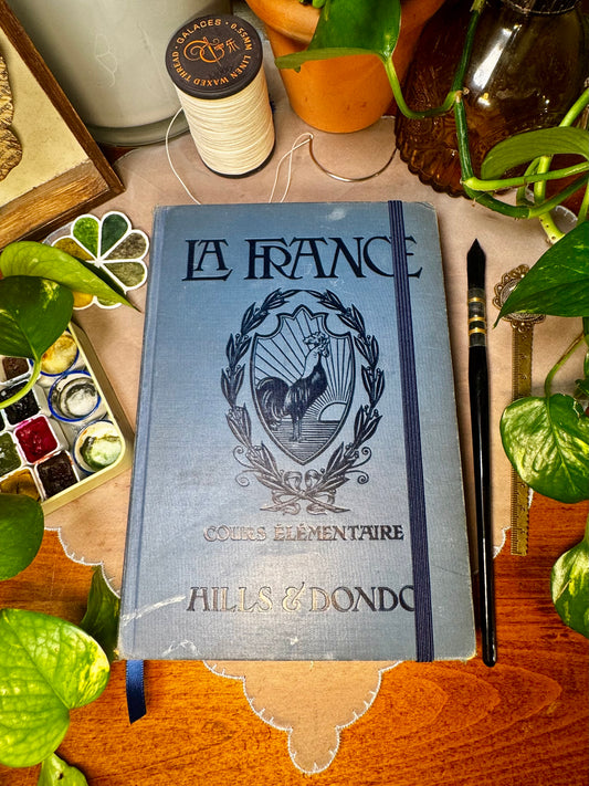 ‘La France’ Watercolor Journal