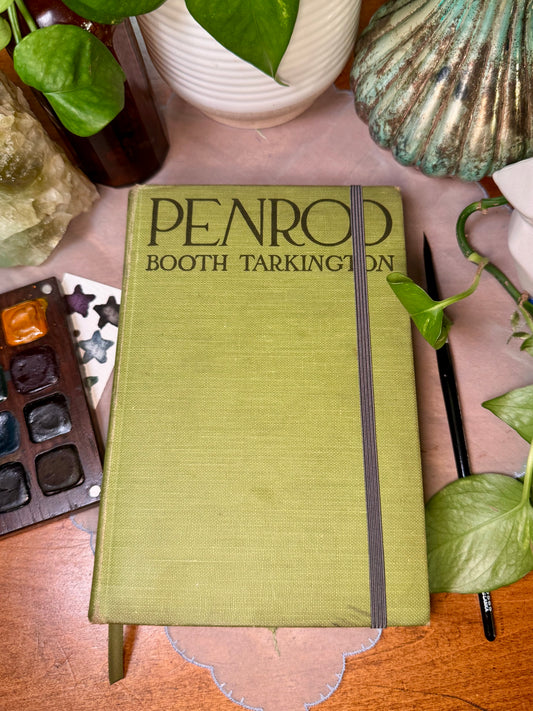 ‘Penrod’ Watercolor Journal
