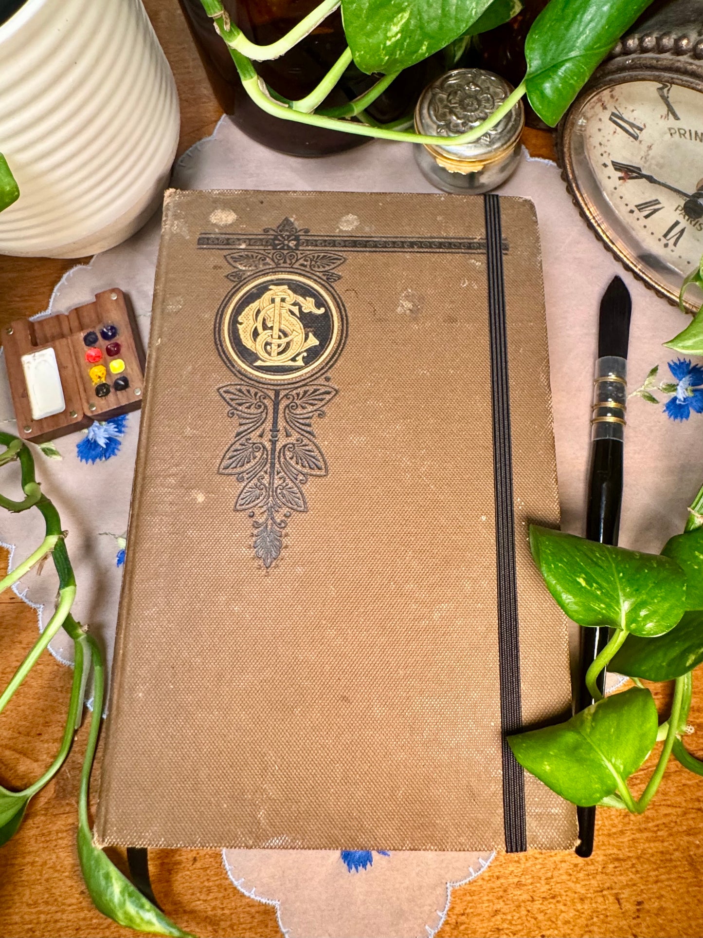 ‘The Physiology and Hygiene of the House in Which We Live’ Watercolor Journal