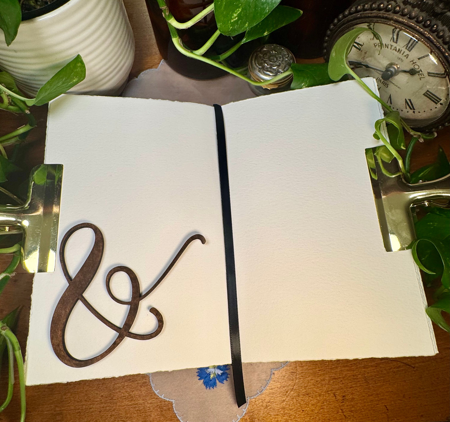 ‘The Physiology and Hygiene of the House in Which We Live’ Watercolor Journal