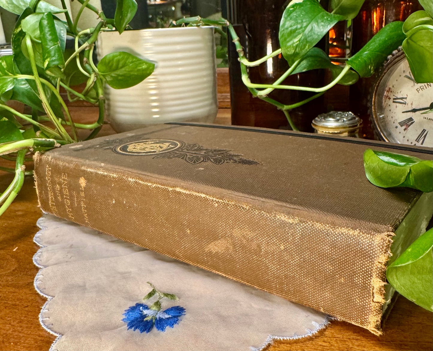 ‘The Physiology and Hygiene of the House in Which We Live’ Watercolor Journal