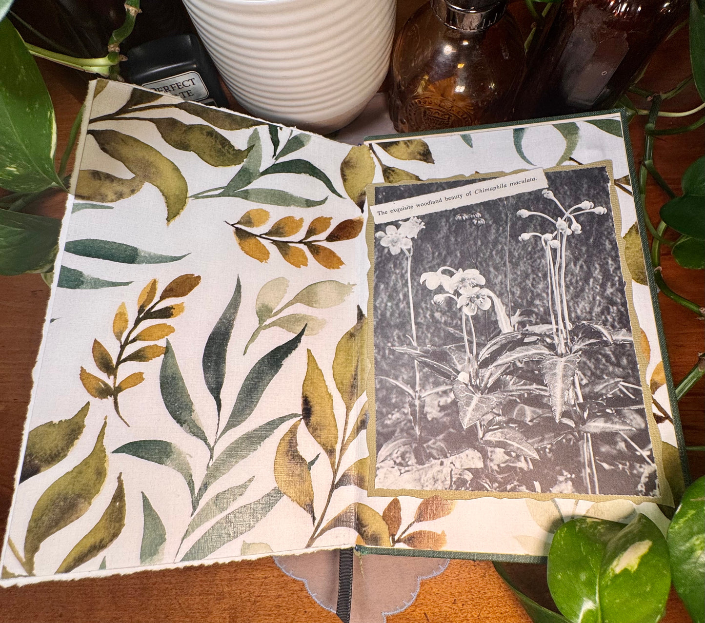 ‘All About Rock Gardens and Plants’ Watercolor Journal