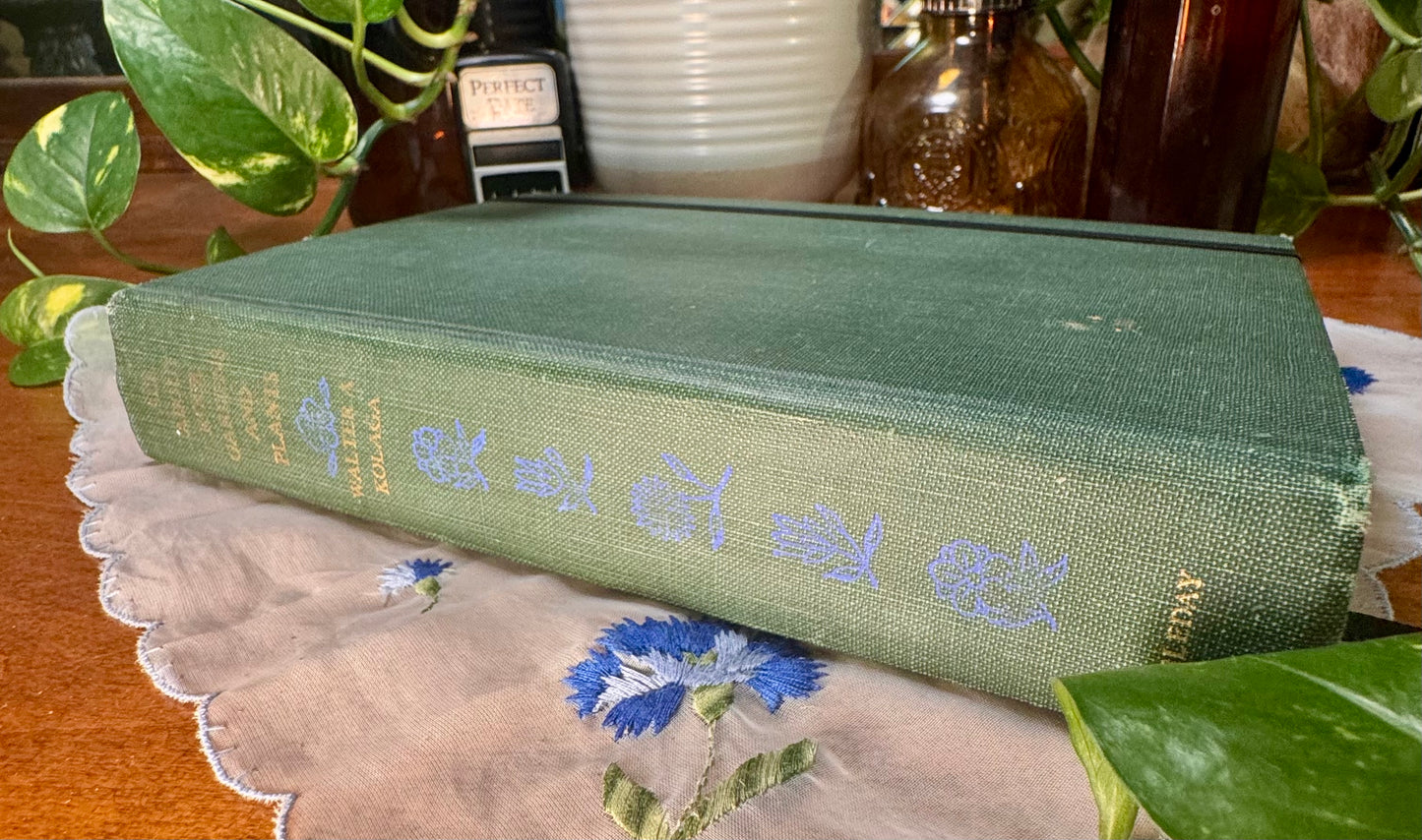 ‘All About Rock Gardens and Plants’ Watercolor Journal