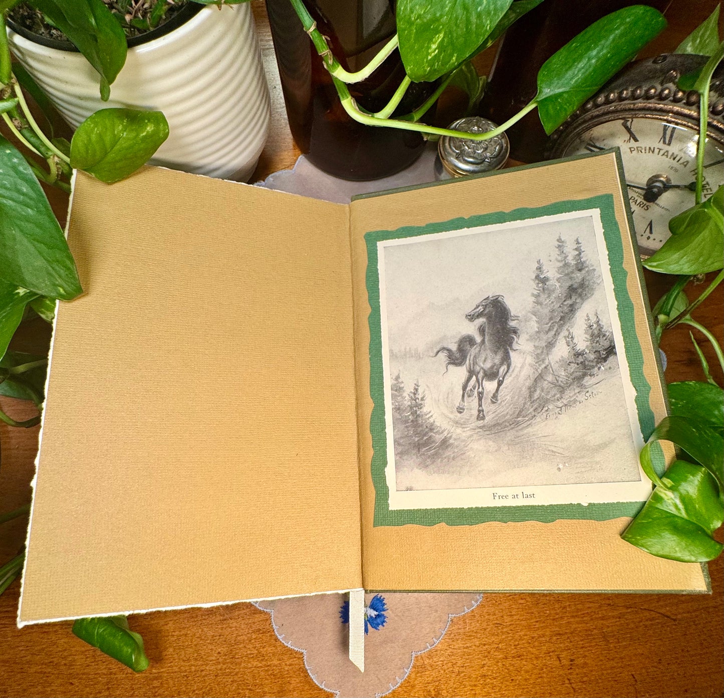 ‘Wild Animal Ways’ Watercolor Journal