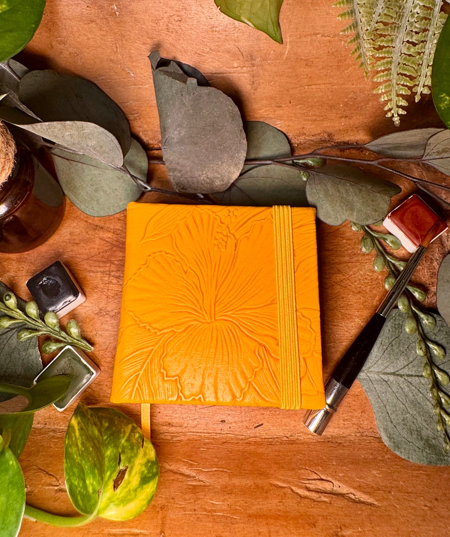 The Lush Chapter