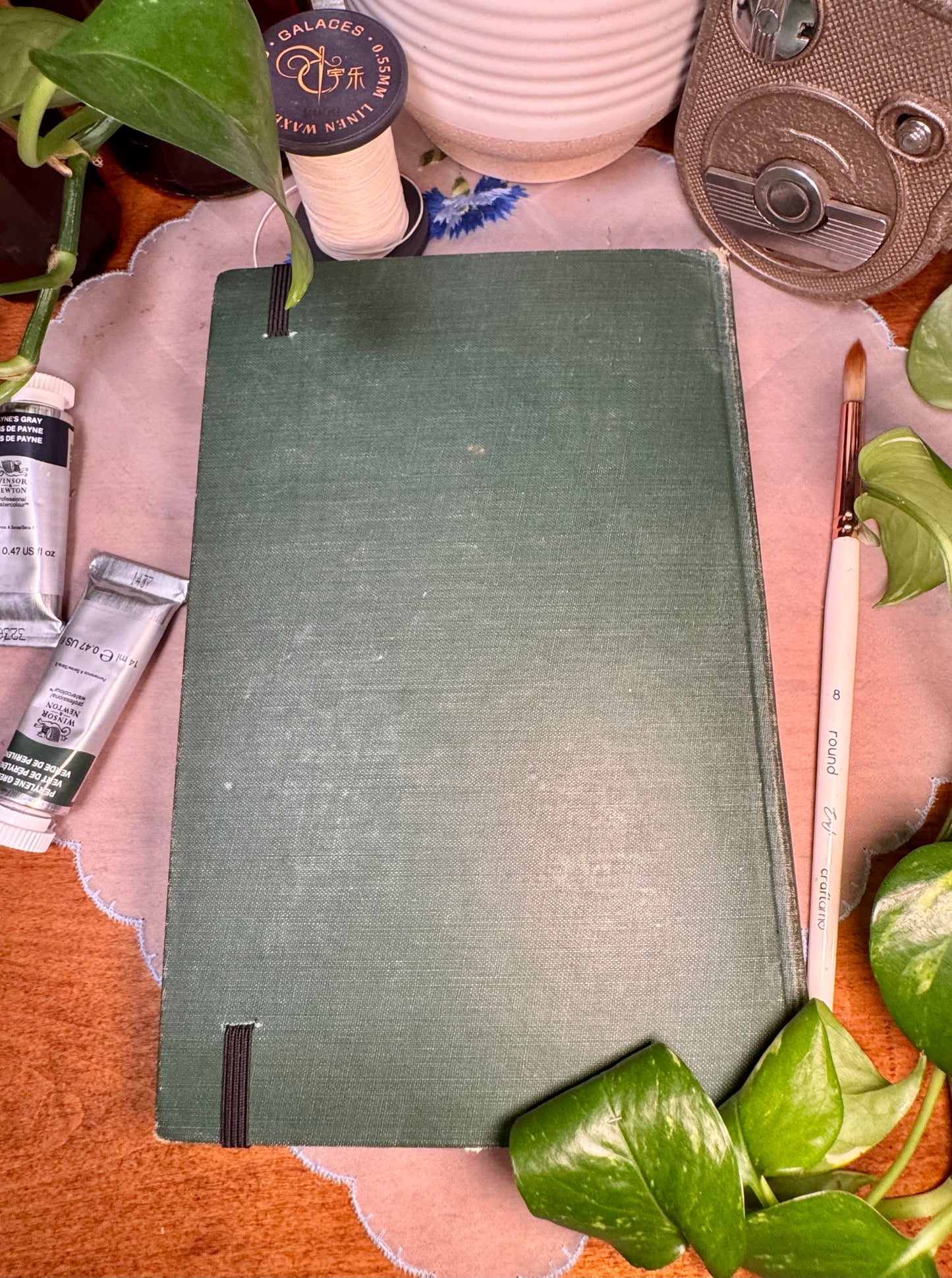 ‘Yosemite and Kings Canyon Trout’ Watercolor Journal