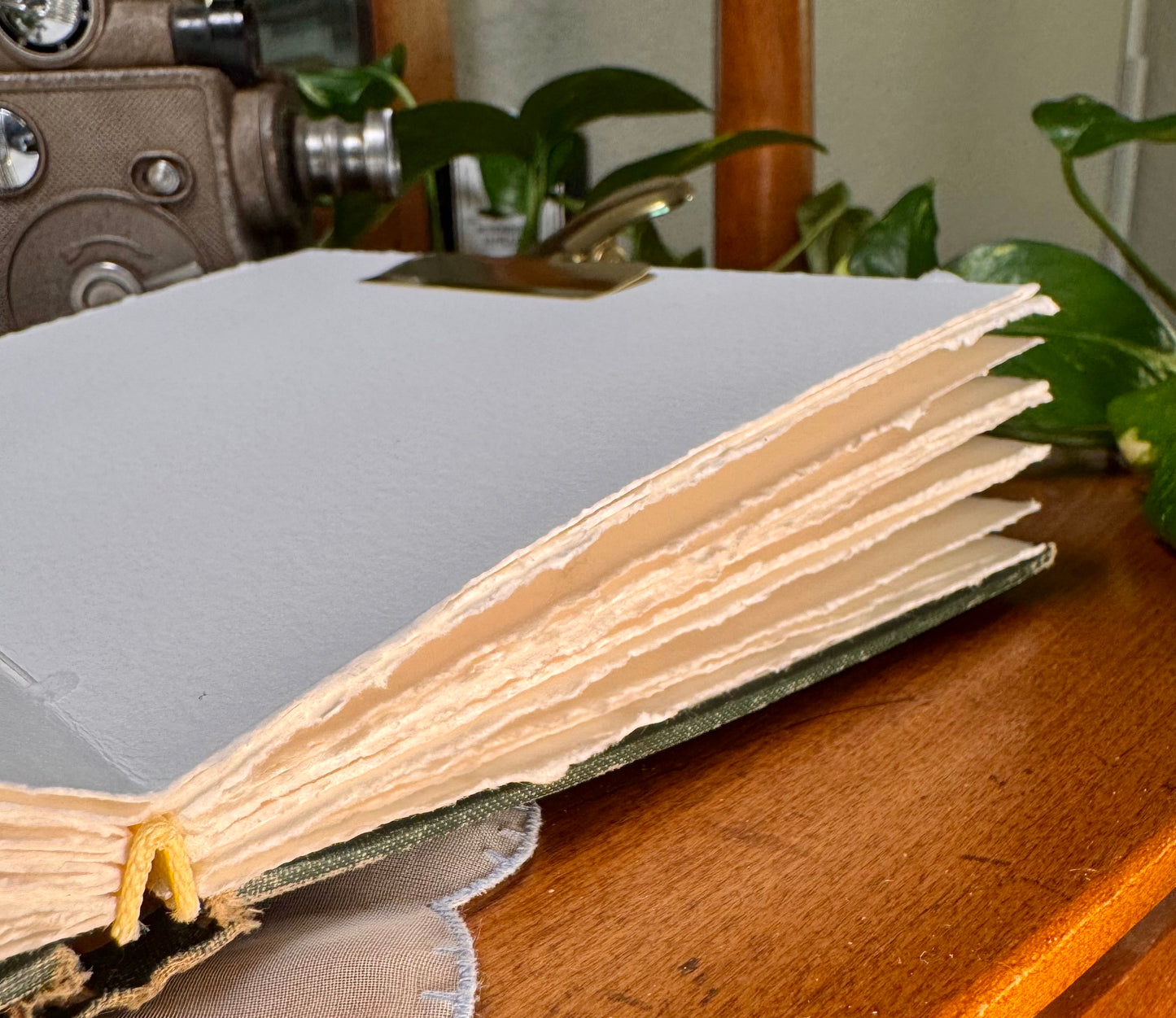 ‘Yosemite and Kings Canyon Trout’ Watercolor Journal