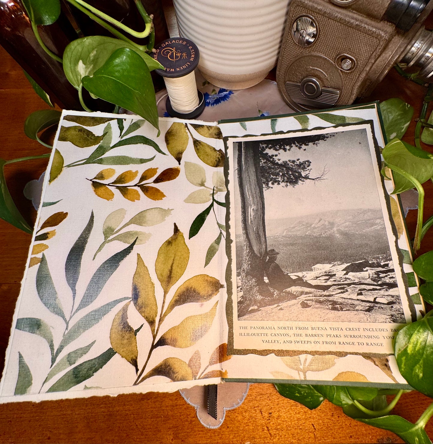 ‘Yosemite and Kings Canyon Trout’ Watercolor Journal