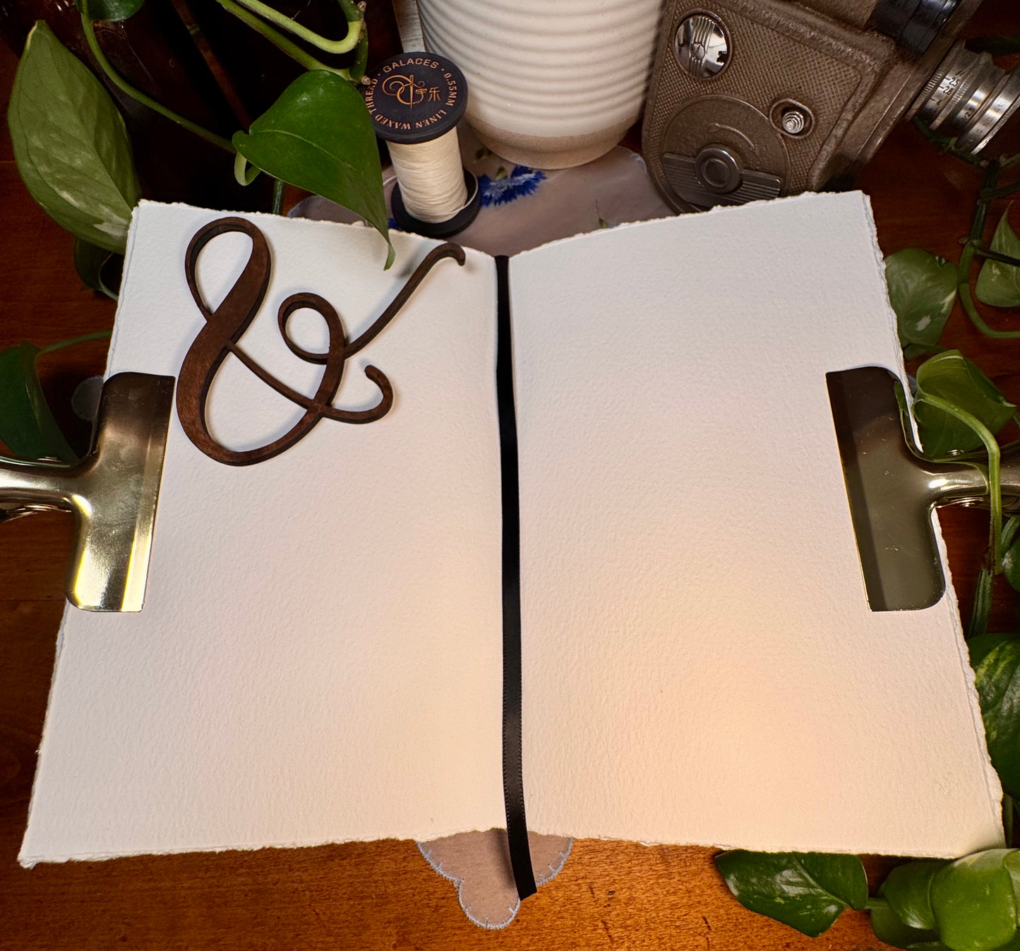 ‘Yosemite and Kings Canyon Trout’ Watercolor Journal